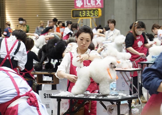 2024年JKCトリミング競技会